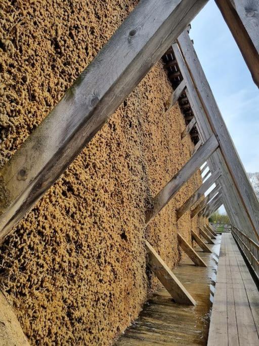 Ferienwohnung Direkt Am Kurpark Mit Gradierwerk Solestadt Bad Dürrenberg Exteriör bild
